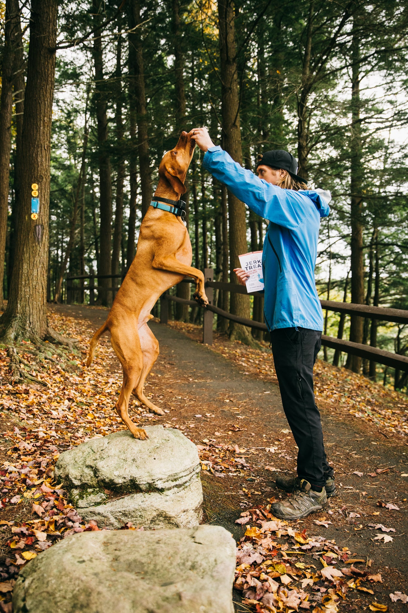 Our Story - Wild Ranger Pet