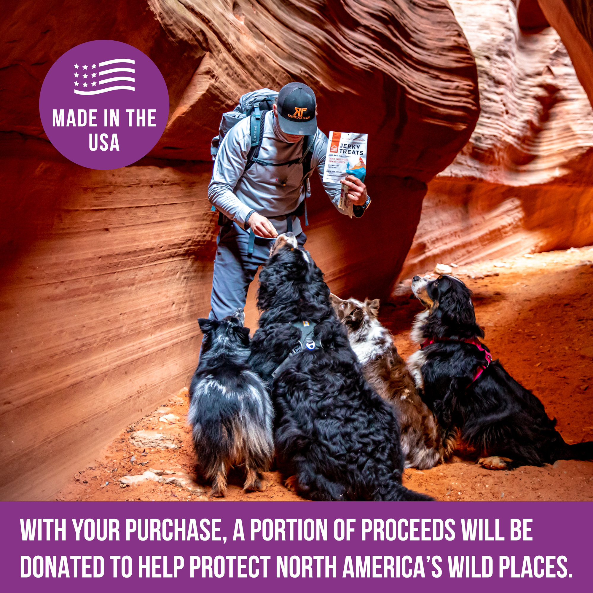 Wild Ranger Jerky Dog Treats Ambassador 3-Pack - Chicken, Beef, and Duck Jerky with Superfoods (1.5lbs)