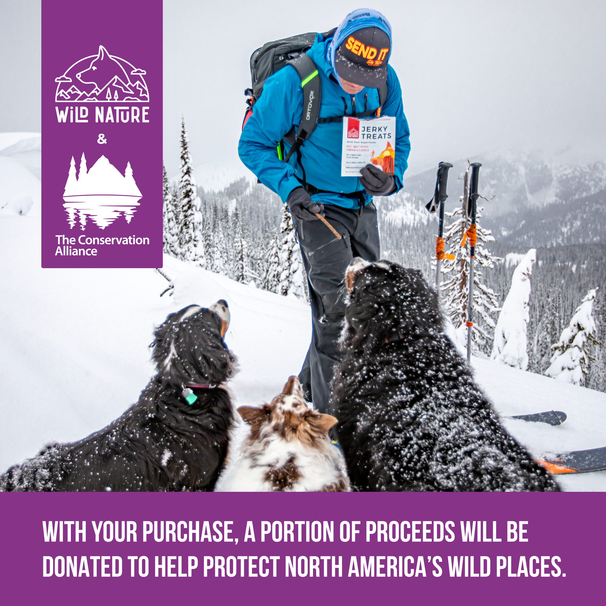 Wild Nature Amazon Storefront