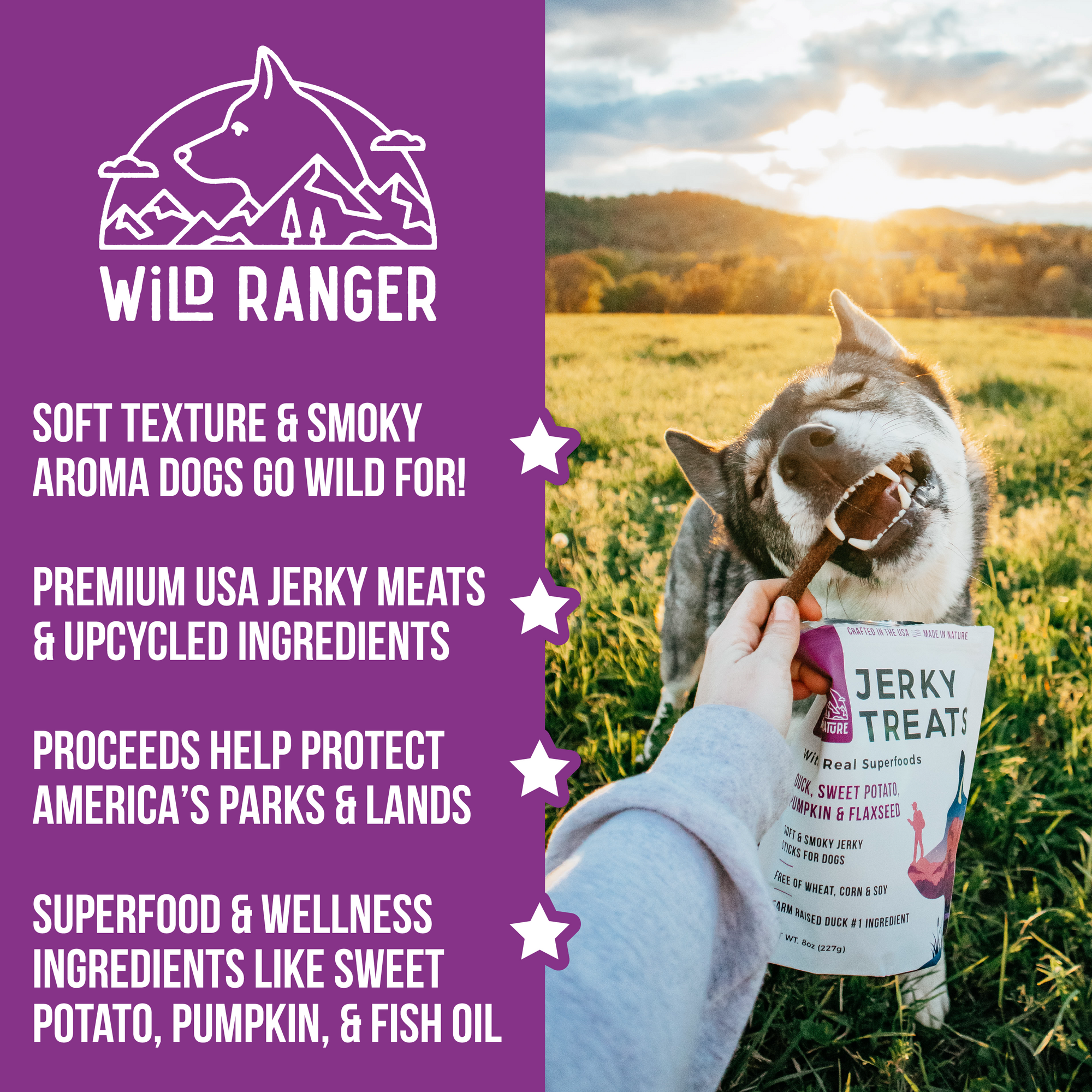 Wild Ranger Jerky Dog Treats Ambassador 3-Pack - Chicken, Beef, and Duck Jerky with Superfoods (1.5lbs)